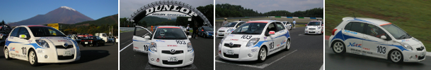 Vitz2012